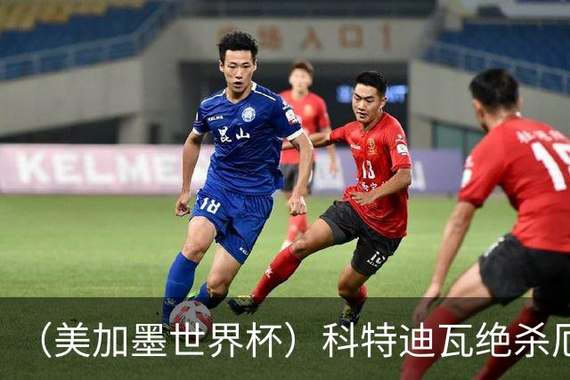 （美加墨世界杯）科特迪瓦绝杀厄瓜多尔 瑞典5:1大胜突尼斯